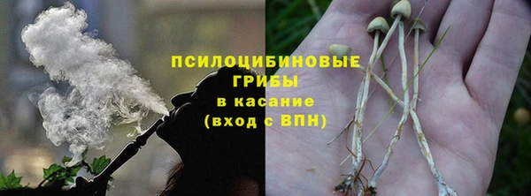 индика Осинники