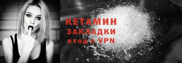 индика Осинники