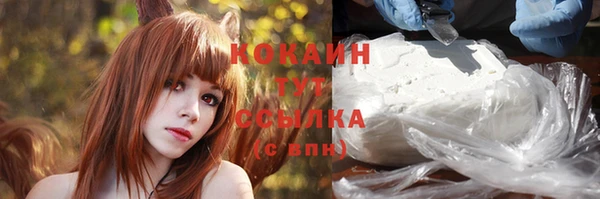 индика Осинники