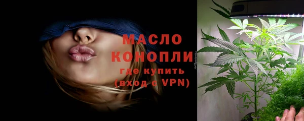 индика Осинники