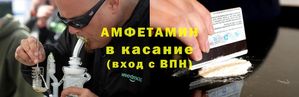 индика Осинники