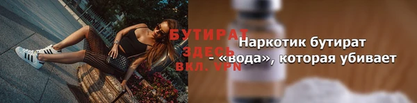 индика Осинники