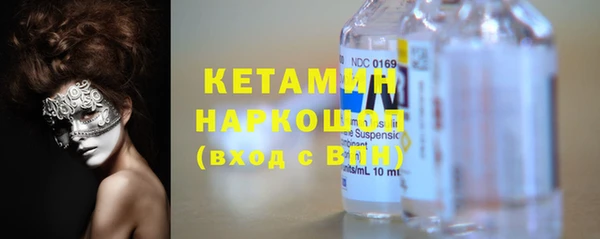 индика Осинники