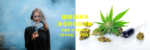 индика Осинники