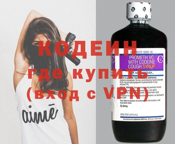 индика Осинники