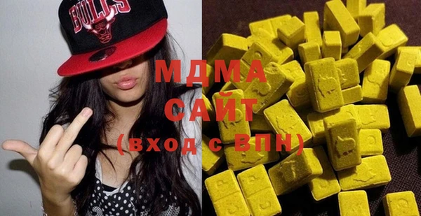 индика Осинники