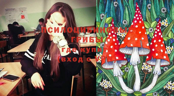 индика Осинники