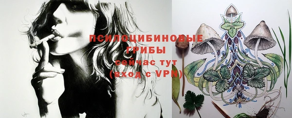 индика Осинники
