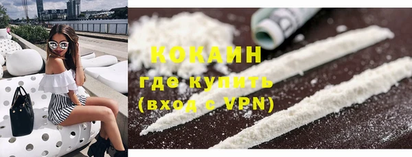 индика Осинники