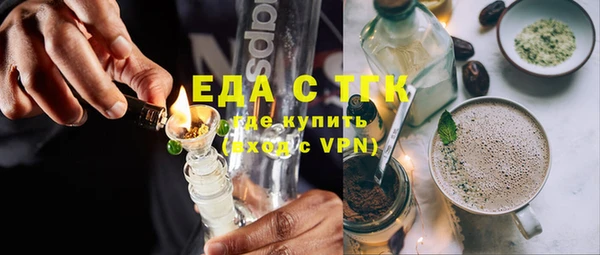 индика Осинники