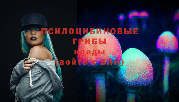 индика Осинники