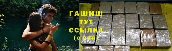 индика Осинники