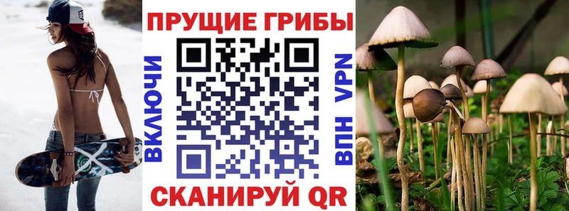 Псилоцибиновые грибы мицелий  Купить  Власиха 